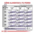 Alimento Royal Canin Mature Consult Large Dog 13kg (UNICAMENTE BAJO PEDIDO)