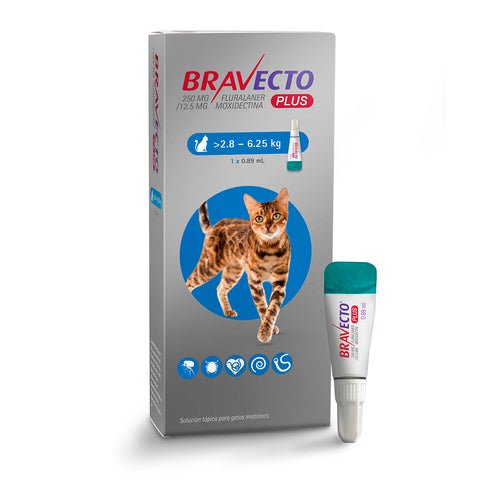 Bravecto Plus Cat Pipeta  2.8 A 6.25kg Desparacitante Externo e Interno