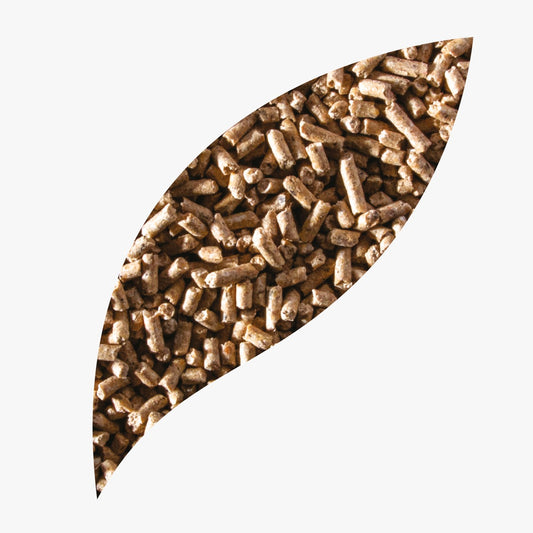 Pelea Startina 2° 5kg