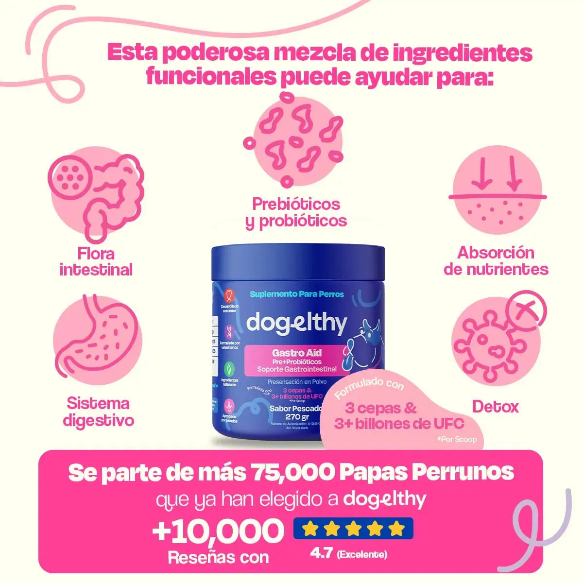 Gastro Aid Suplemento