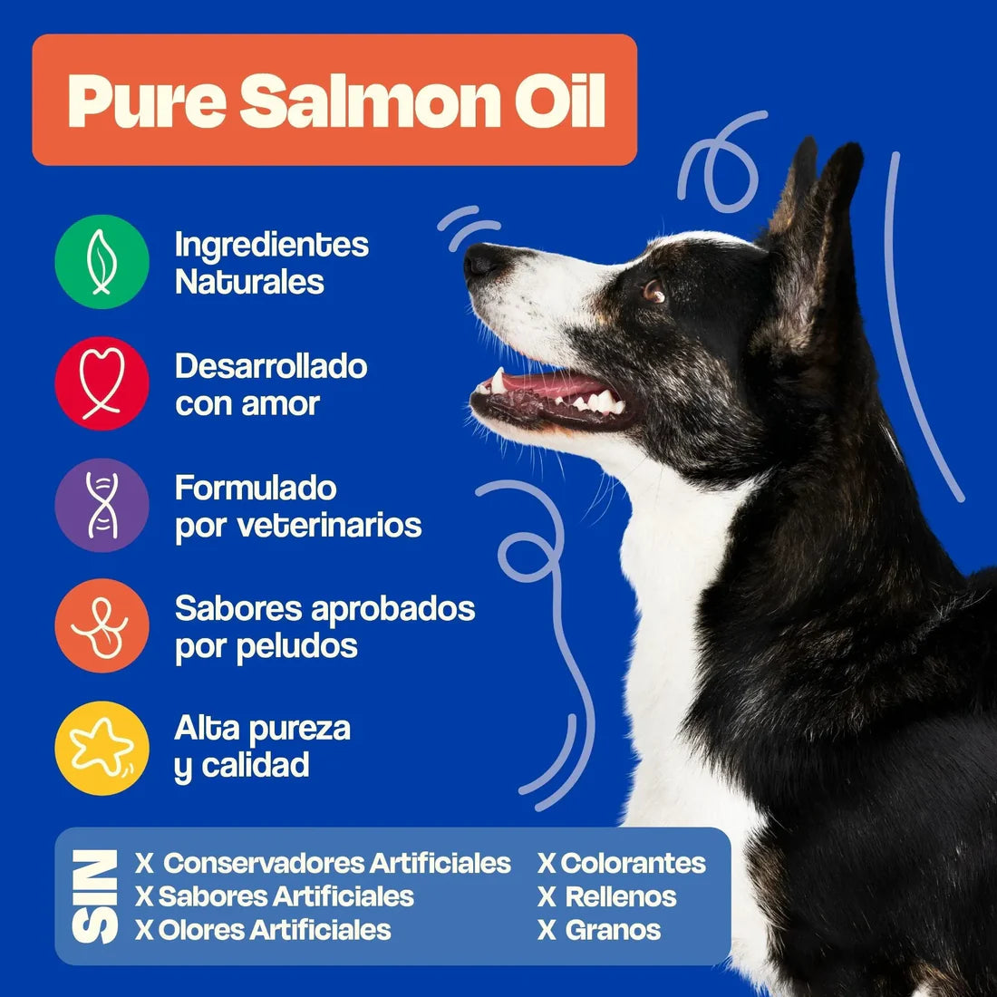 Pure Salmon Oil