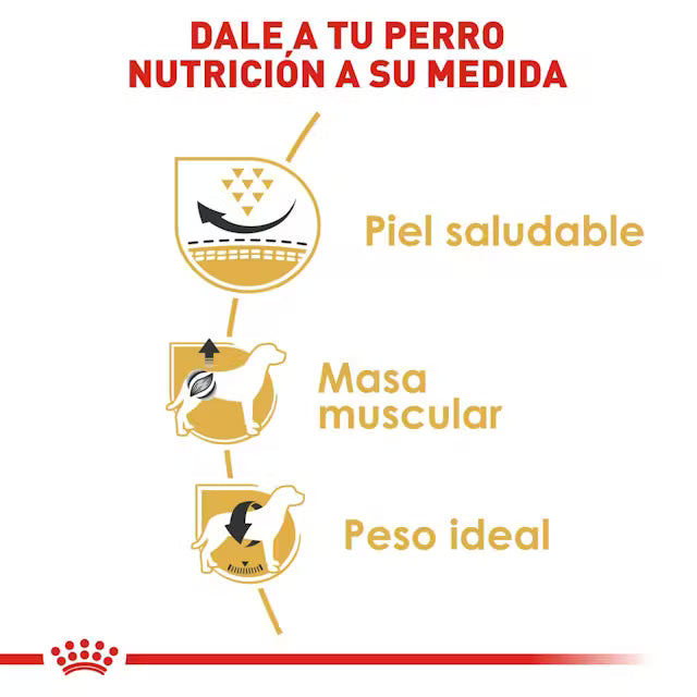Alimento Royal Canin BHN Pug Adulto