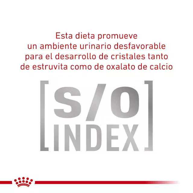 Alimento Royal Canin Glycobalance Para Gato 2kg