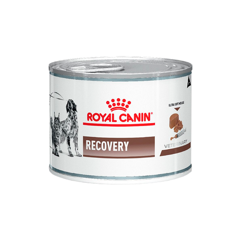 Alimento Royal Canin Recovery Para Perro y Gato Lata 145g