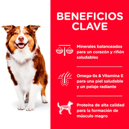 Alimento Hill's Science Diet Adulto 7+ Senior Para Perro 12kg
