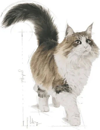 Alimento Húmedo para Gato Adulto Instinctive 7+ 85 g