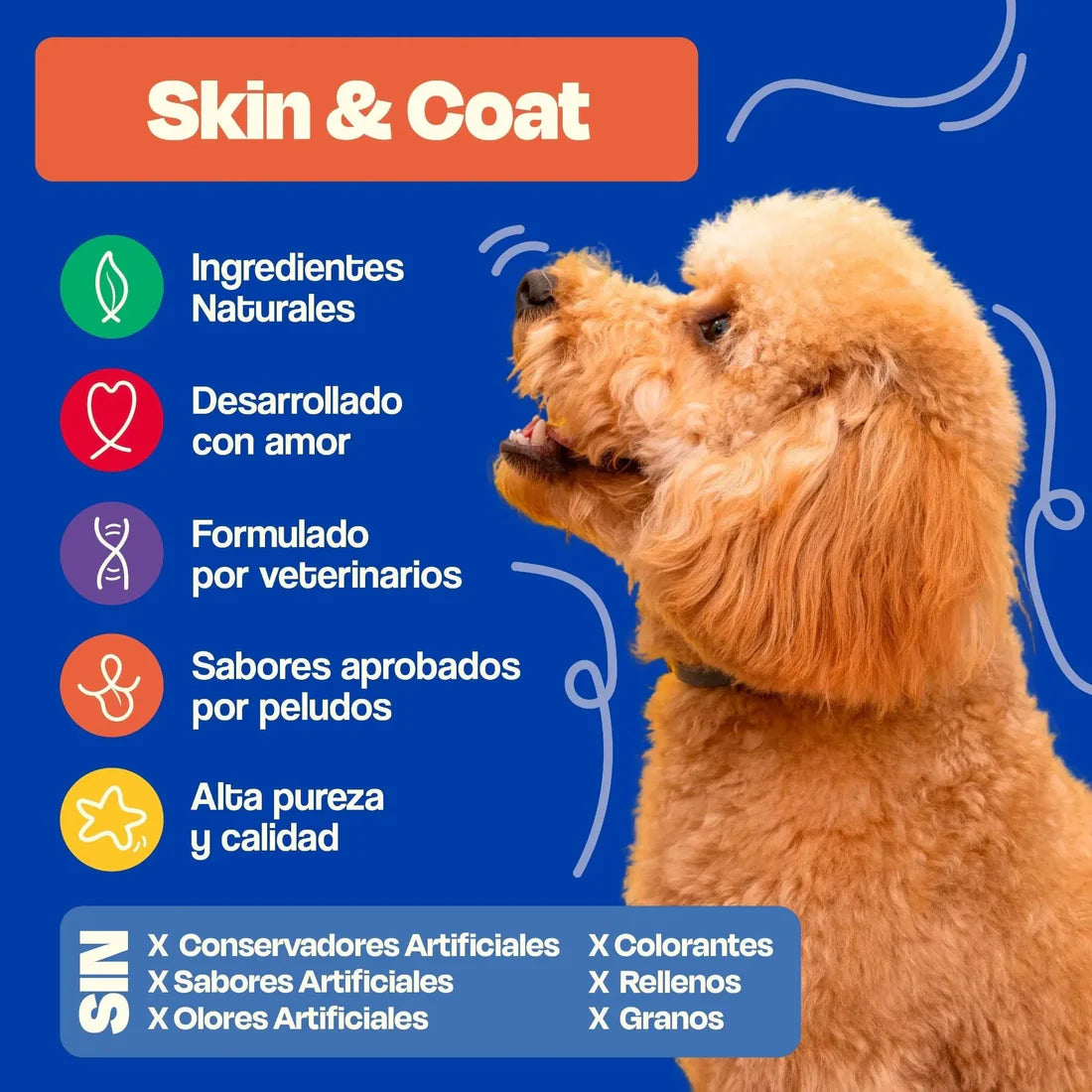 Suplemento Skin & Coat