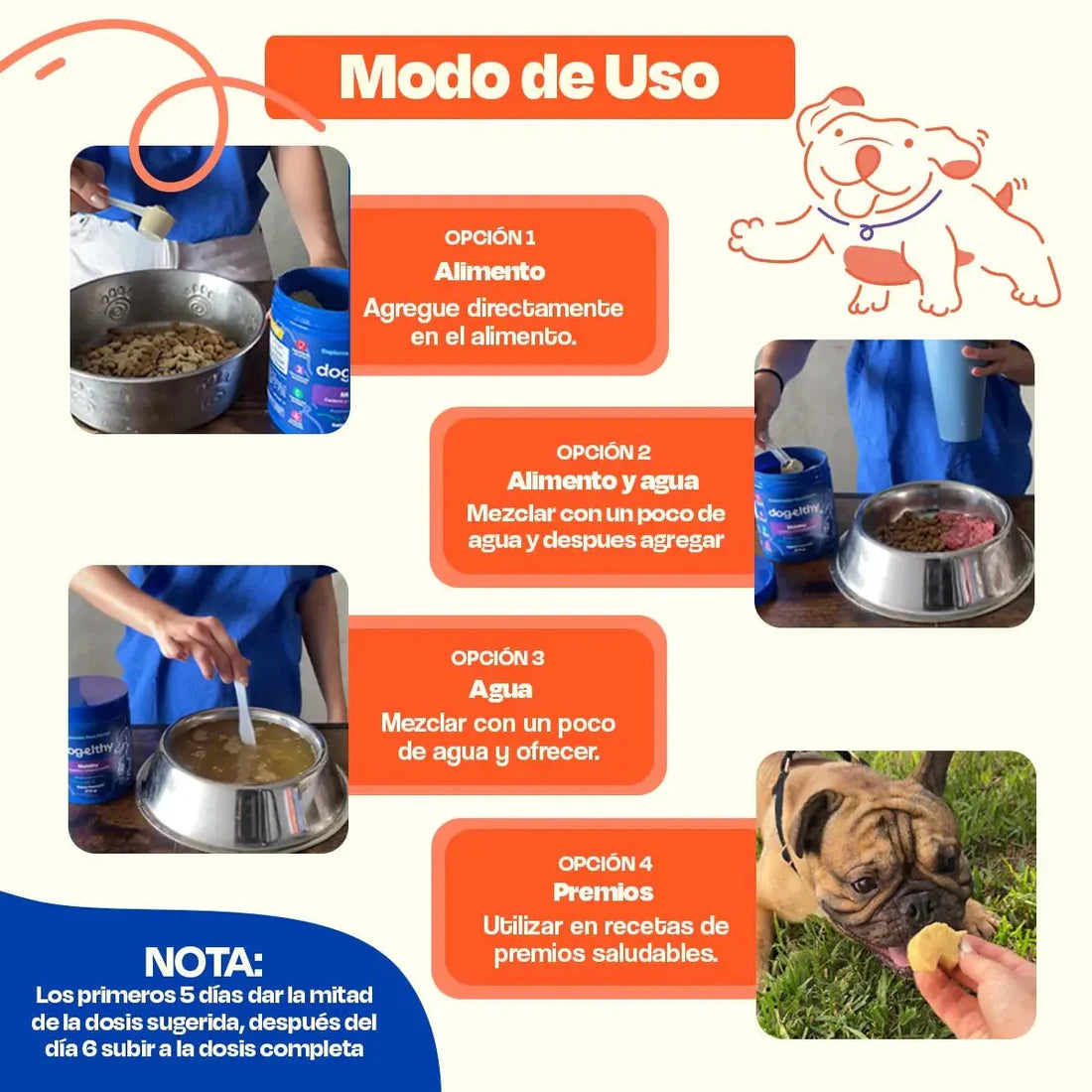 Suplemento Skin & Coat