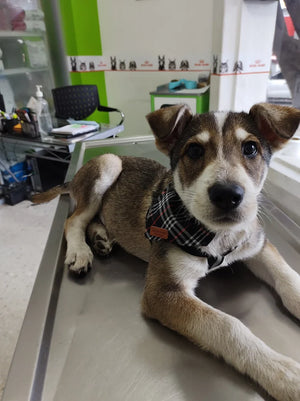 Foto de Alejandra B.