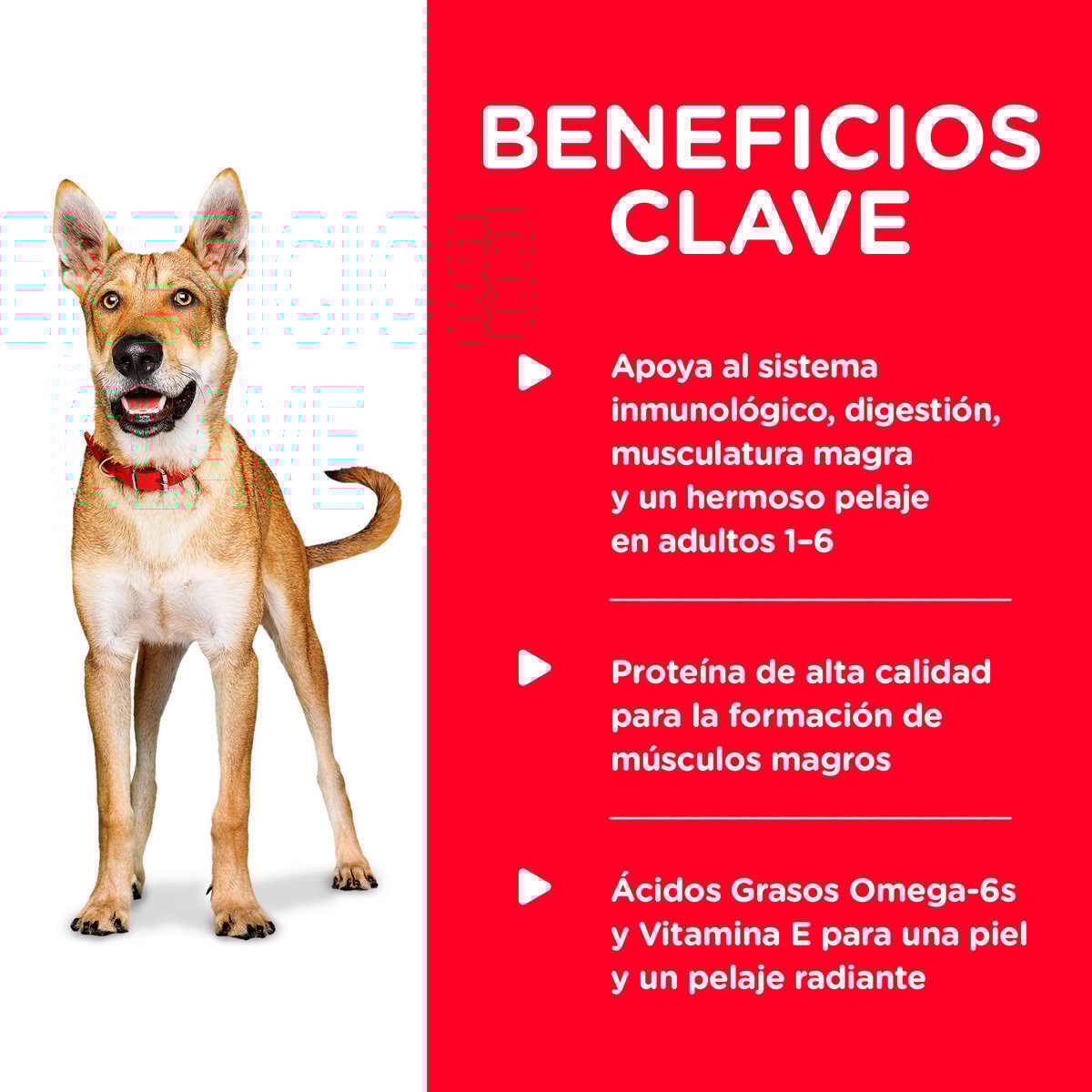 Alimento Hill's Science Diet Original Adulto Para Perro Lata 370g