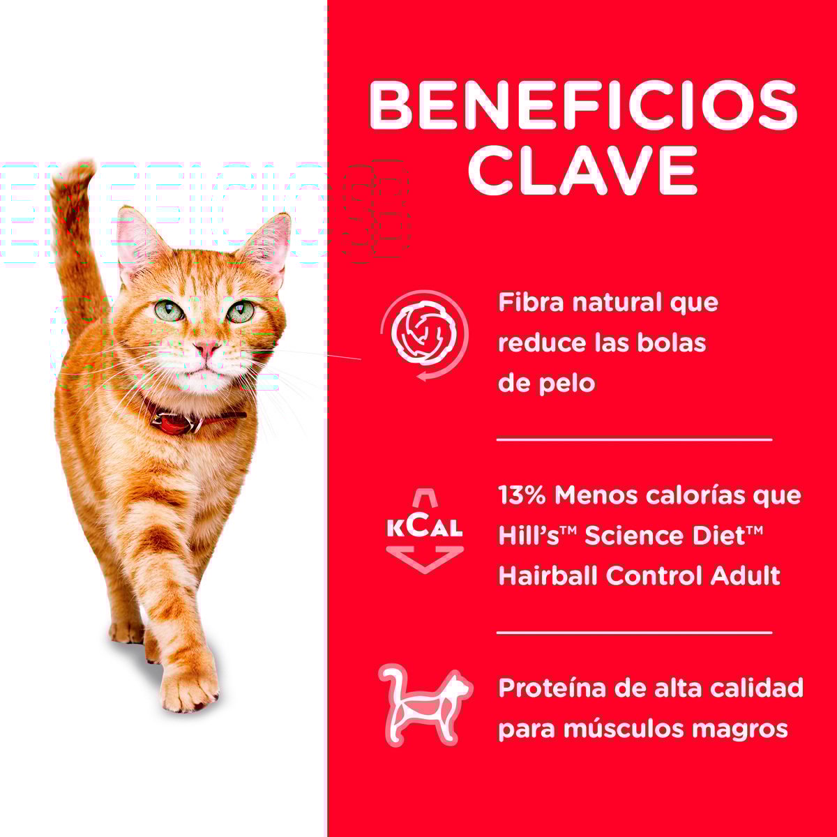 Alimento Hill's Science Diet Adulto Hairball Control Light Para Gato 3.17kg (ÚNICAMENTE BAJO PEDIDO)