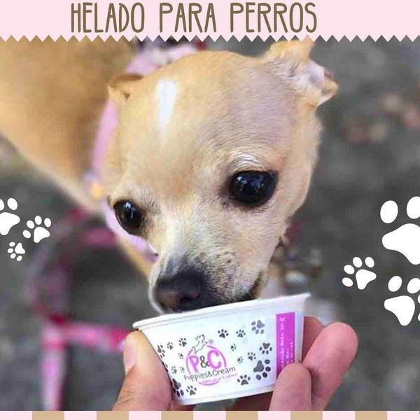 Helado Puppies&Cream Zanahoria y Vainilla 30g