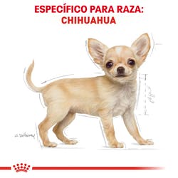 Alimento Royal Canin BHN Chihuahua Puppy 1.13kg