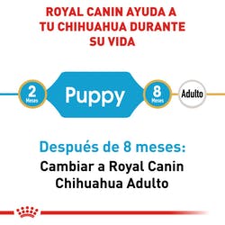 Alimento Royal Canin BHN Chihuahua Puppy 1.13kg