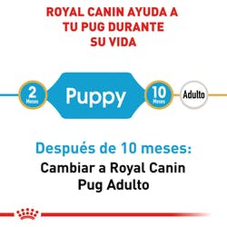 Alimento Royal Canin BHN Pug Puppy 1.13kg