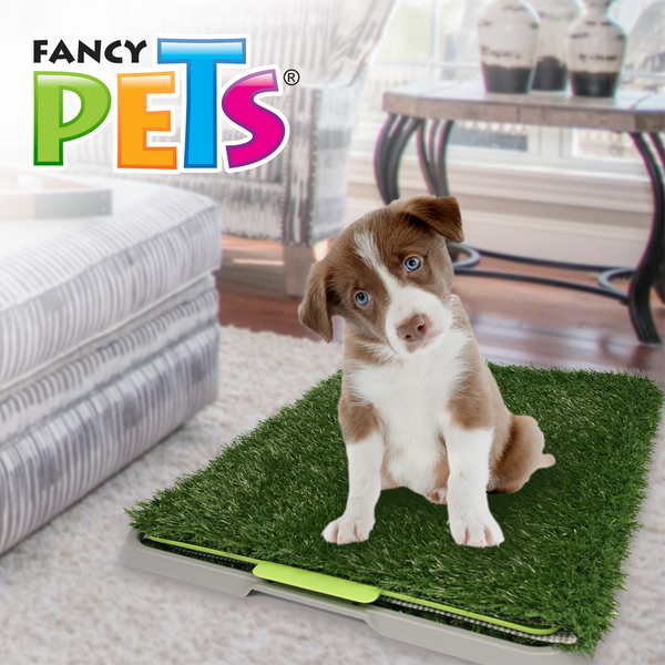 Doggie Grass Fancy Pets Grande Para Perros