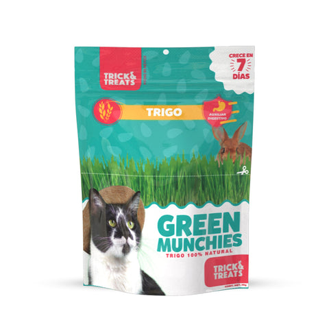 Pasto Trick & Treats Green Munchies Trigo 50g