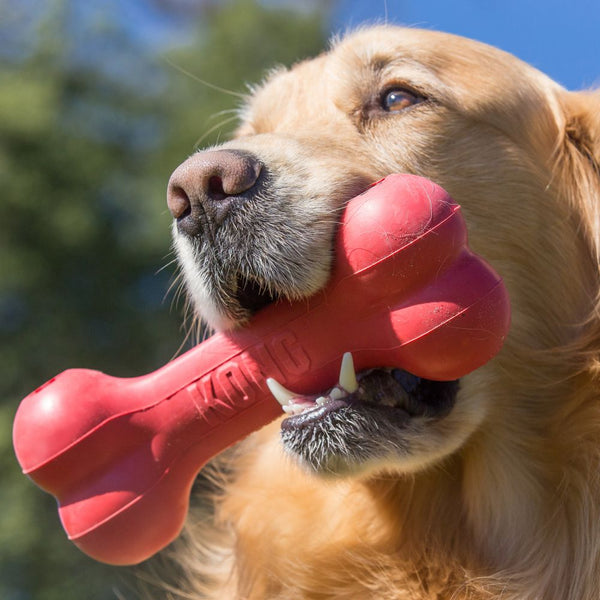 Juguete Kong Hueso Chico Para Perro